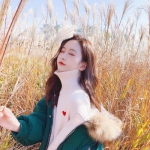 江南娱乐在线登录平台